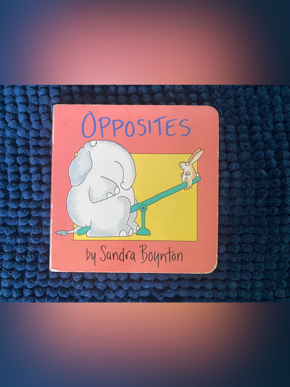 Opposites - Sandra Boynton - Children’s Board Book